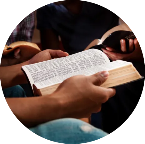 imgi_57_62cbb7fd544a7aa1c2751e5d_Rectangle 17